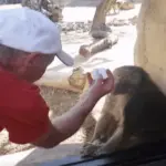 마술 보고 놀라는 동물 움짤